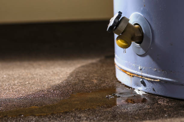 Best Carpet water damage restoration  in , OH