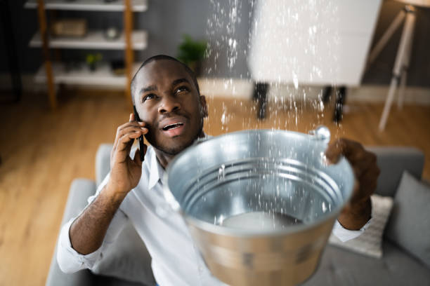 Best Local water damage restoration  in , OH