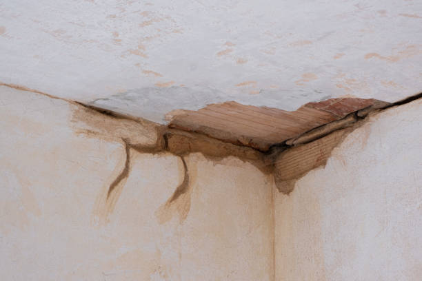 Best Residential water damage restoration  in , OH