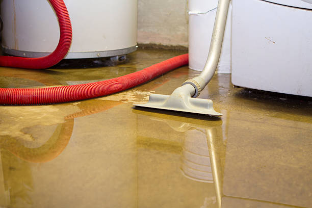 Best Local water damage restoration  in , OH