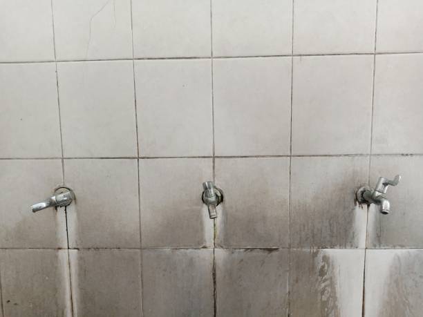 Best Water damage restoration near me  in , OH