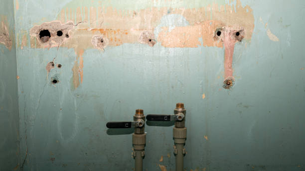 Best 24/7 water damage repair  in , OH
