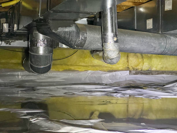 Best Mold removal after water damage  in , OH
