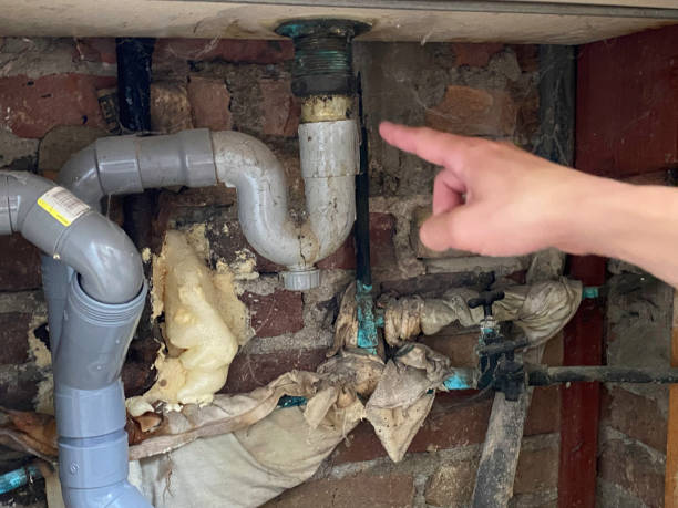 Best Water damage contractors near me  in , OH